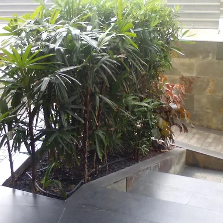 Апартаменты Piso 2 Sol Del Sur Адехе